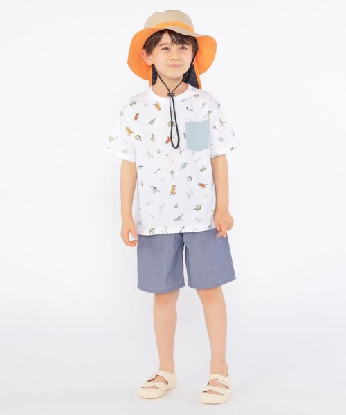 SHIPS KIDS(シップスキッズ)/SHIPS KIDS:100～130cm / 恐竜 テキスタイル 半袖 TEE/img05