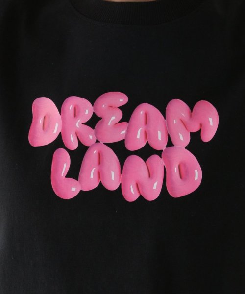 JOINT WORKS(ジョイントワークス)/【ANNA SUI NYC / アナスイエヌワイシー】 DREAM tight T－shirts/img08