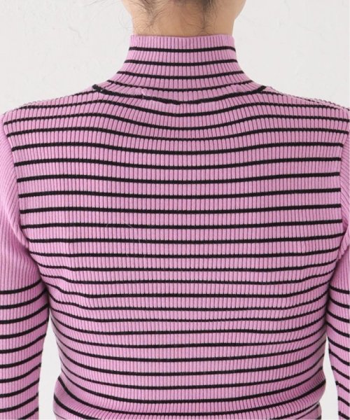 JOINT WORKS(ジョイントワークス)/【ANNA SUI NYC / アナスイエヌワイシー】 Border turtleneck knit/img06