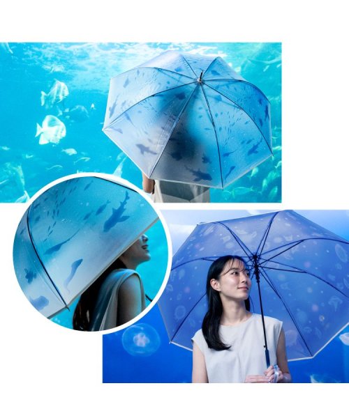 Wpc．(Wpc．)/【Wpc.公式】［ビニール傘］えのすい×Wpc. アンブレラ おやすみ、クラゲ 親骨61cm 大きい ジャンプ傘 傘 レディース 雨傘 長傘 おしゃれ 可愛い /img10