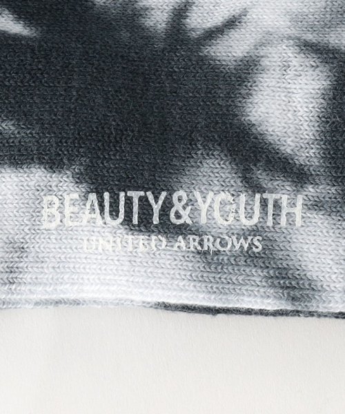 BEAUTY&YOUTH UNITED ARROWS(ビューティーアンドユース　ユナイテッドアローズ)/2ライン ソフト パイル クウォーター ソックス/img06