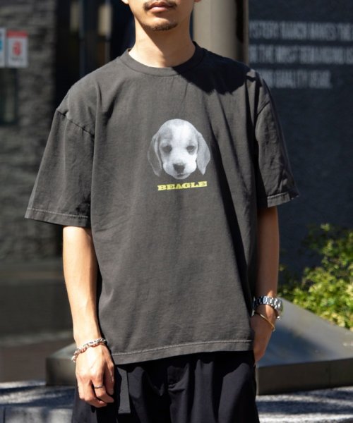 GLOSTER(GLOSTER)/【新柄追加】【GLOSTER/グロスター】DOG&CAT 犬猫プリント ピグメント プリントTシャツ/img02