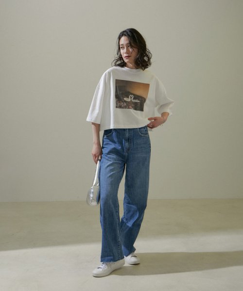 サロン　アダム　エ　ロペ(サロン　アダム　エ　ロペ)/【Alec Soth（アレック・ソス）】[24SS]クロップドフォトTシャツ/img03