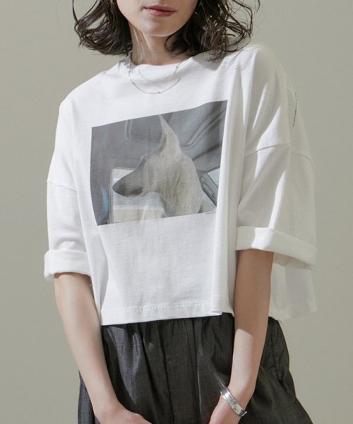 サロン　アダム　エ　ロペ(サロン　アダム　エ　ロペ)/【Alec Soth（アレック・ソス）】[24SS]クロップドフォトTシャツ/img21