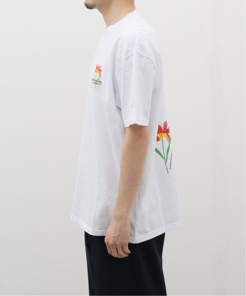 JOURNAL STANDARD relume Men's(ジャーナルスタンダード　レリューム　メンズ)/【NEW AMSTERDAM SURF ASSOCIATION】TULIP Tシャツ/img03