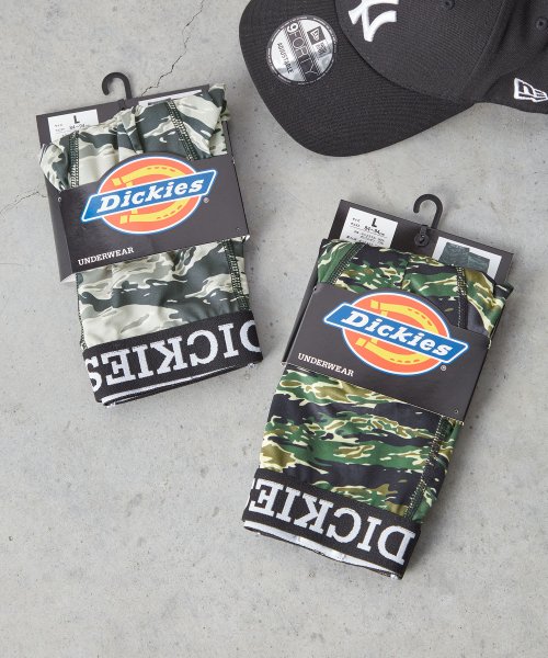 Dickies(Dickies)/Dickies Tiger camo/img03