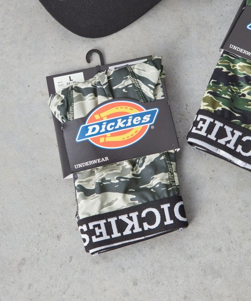 Dickies(Dickies)/Dickies Tiger camo/img04