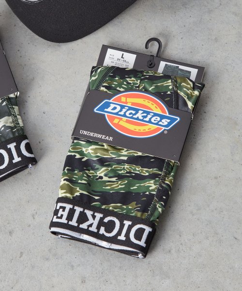 Dickies(Dickies)/Dickies Tiger camo/img05