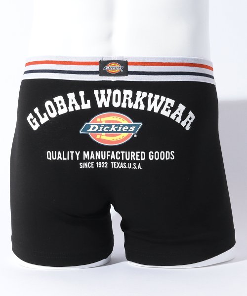 Dickies(Dickies)/Dickies Global Workwear logo/img01