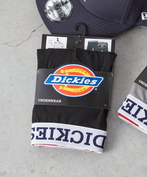 Dickies(Dickies)/Dickies Global Workwear logo/img03