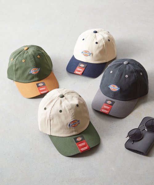 Dickies(Dickies)/Dickies EX ICON TWO TONE LOWCAP/img02