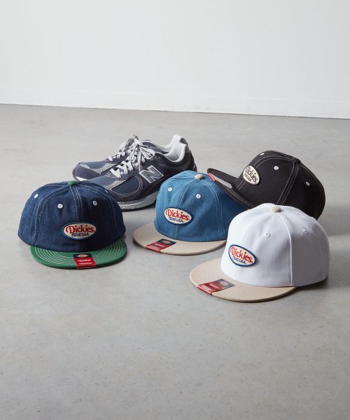 Dickies(Dickies)/Dickies EX 6PANEL BB CAP/img02