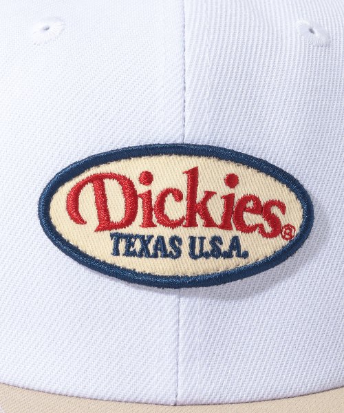 Dickies(Dickies)/Dickies EX 6PANEL BB CAP/img09