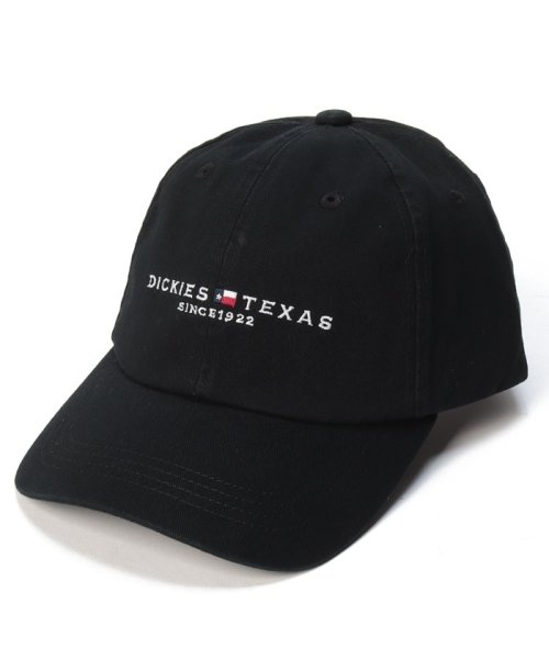 Dickies(Dickies)/Dickies EX TEXAS LOWCAP/img11