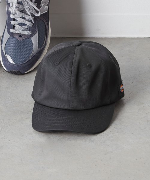 Dickies(Dickies)/Dickies EX Dickies TWILL BBCAP/img03