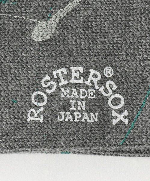 green label relaxing(グリーンレーベルリラクシング)/【別注】＜ROSTER SOX×green label relaxing＞ペイント ソックス/img02