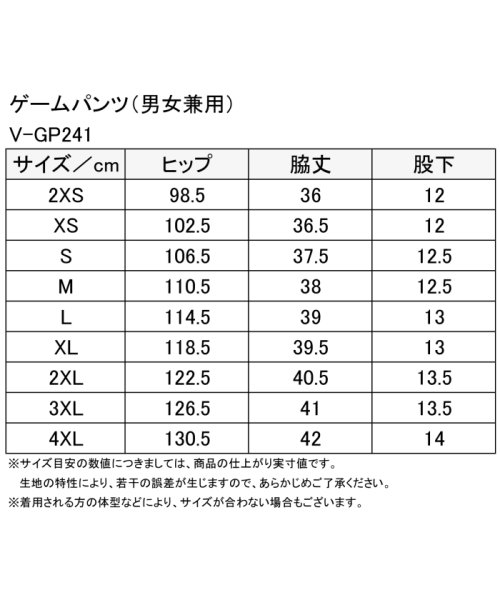 Victus(ヴィクタス)/VICTAS ヴィクタス 卓球 ゲームパンツ V－GP241 2022年全日本選手権着用モデル JTTA公/img02
