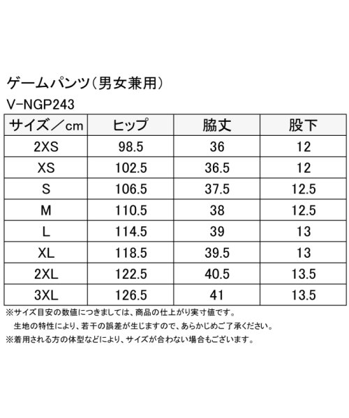 Victus(ヴィクタス)/VICTAS ヴィクタス 卓球 ゲームパンツ V－NGP243 2022年男子日本代表モデル JTTA公認 /img02