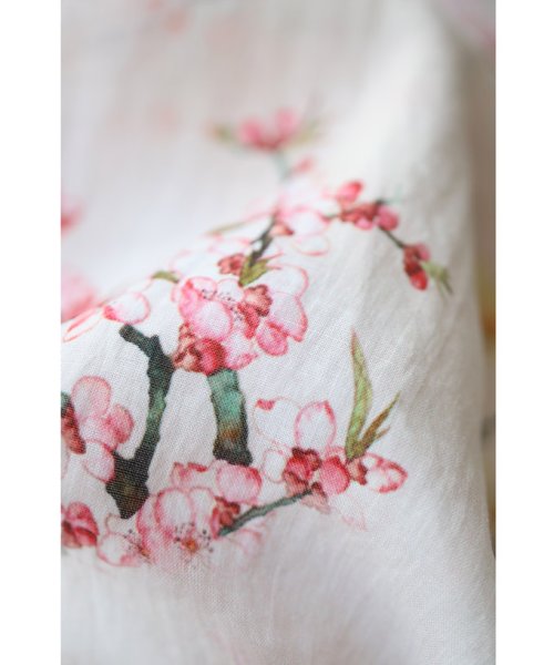CAWAII(カワイイ)/始まり告げる桜の花シアーシャツトップス/img01