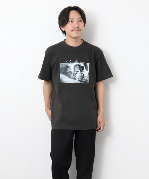 NOLLEY’S goodman(ノーリーズグッドマン)/GOODMAN CAT&DOG photo T－shirts フォトプリントTシャツ/img02