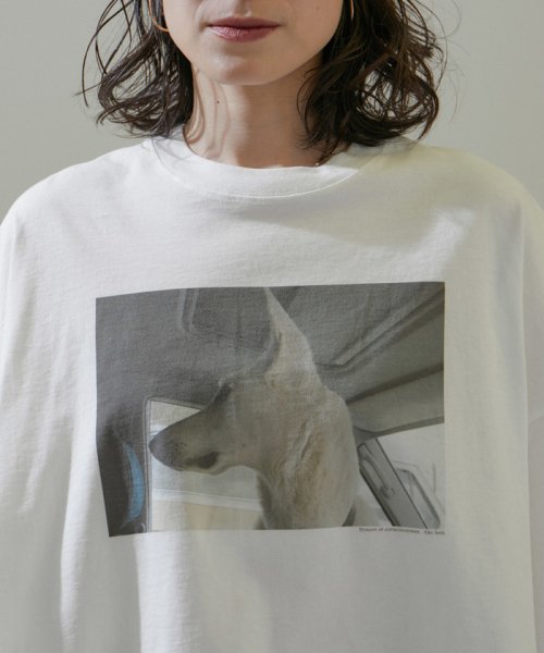 サロン　アダム　エ　ロペ(サロン　アダム　エ　ロペ)/【Alec Soth（アレック・ソス）】[24SS]クロップドフォトTシャツ/img26