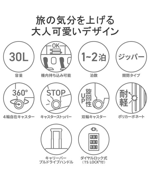 ace.TOKYO(エーストーキョー)/エーストーキョー スーツケース 機内持ち込み ace.TOKYO キャリーケース Sサイズ ストッパー付き 1泊 2泊 30L TSロック スカーラ 05381/img02