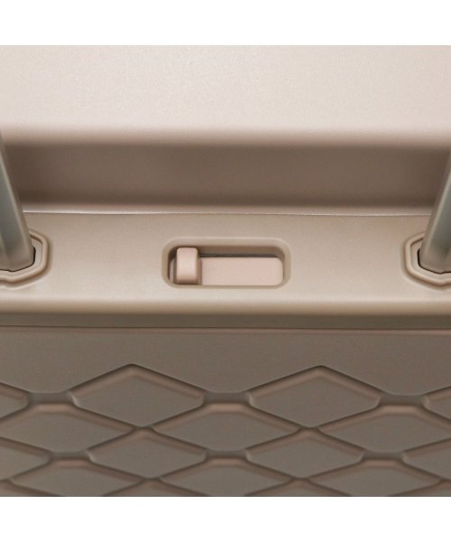 エーストーキョー スーツケース ace.TOKYO キャリーケース 大型 ストッパー付き 7泊 長期 旅行 1週間 84L TSロック スカーラ 05384 