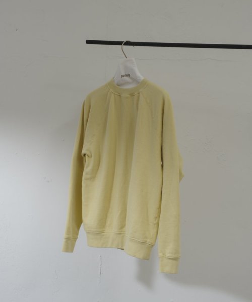 PAL OUTLET(パル　アウトレット)/【Pasterip】Discus USA raglan sweat/img19