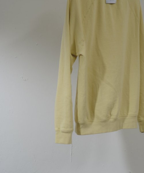 PAL OUTLET(パル　アウトレット)/【Pasterip】Discus USA raglan sweat/img21