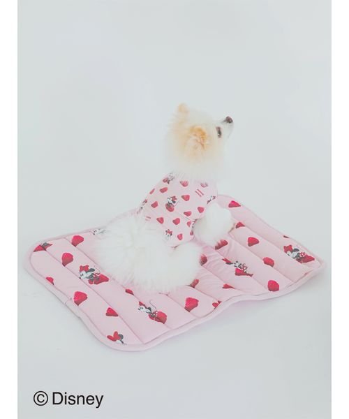 GELATO PIQUE CAT＆DOG(GELATO PIQUE CAT＆DOG)/【CAT&DOG】【販路限定商品】Minnie/COOLマット/img06