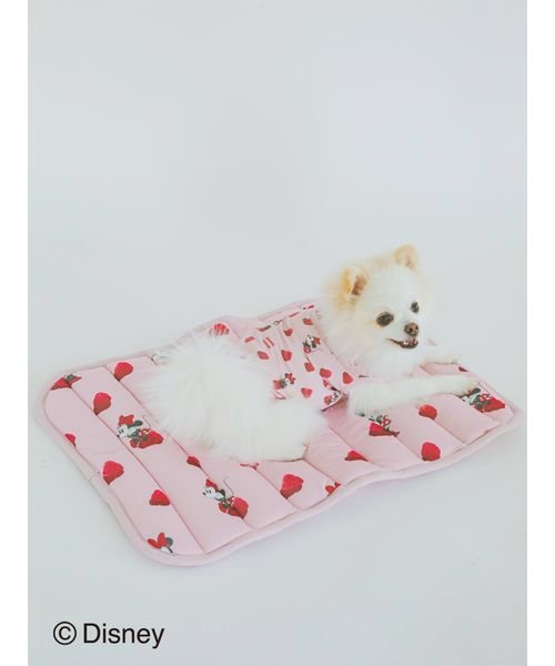 GELATO PIQUE CAT＆DOG(GELATO PIQUE CAT＆DOG)/【CAT&DOG】【販路限定商品】Minnie/COOLマット/img07