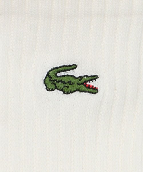 BEAUTY&YOUTH UNITED ARROWS(ビューティーアンドユース　ユナイテッドアローズ)/【別注】 ＜LACOSTE＞ リブ クウォーター ソックス/img02