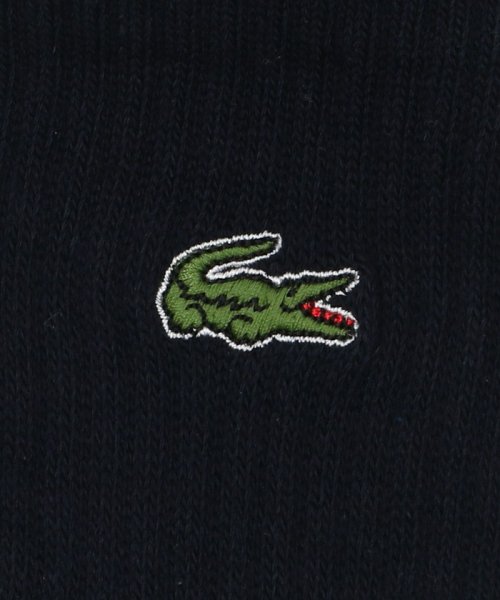 BEAUTY&YOUTH UNITED ARROWS(ビューティーアンドユース　ユナイテッドアローズ)/【別注】 ＜LACOSTE＞ リブ クウォーター ソックス/img04