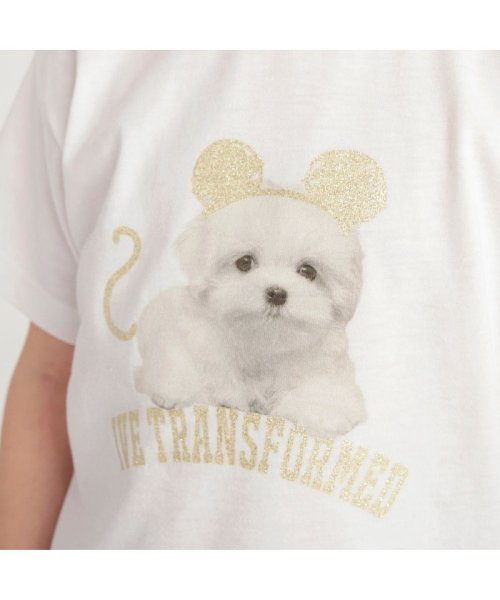 BRANSHES(ブランシェス)/アソートアニマルTシャツ/img04