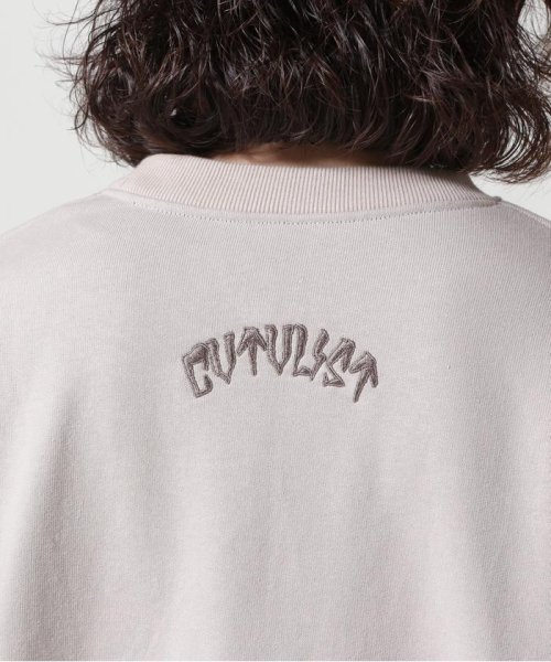 RoyalFlash(ロイヤルフラッシュ)/CTLS/シーティーエルエス/別注USUAL CREW－NECK 刺繍クロス/img19