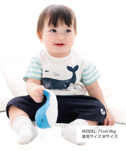 fillot de bebe reduction(フィヨ・デュ・ベベ・ルダクティオン)/ボーダークジラTシャツ(70~90cm)/img02