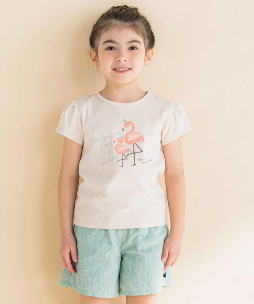 Noeil aime BeBe(ノイユ　エーム　べべ)/フラミンゴプリントTシャツ(80~130cm)/img06