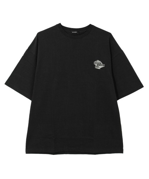 RAT EFFECT(ラット エフェクト)/CLIMBING転写BIG Tシャツ/img09