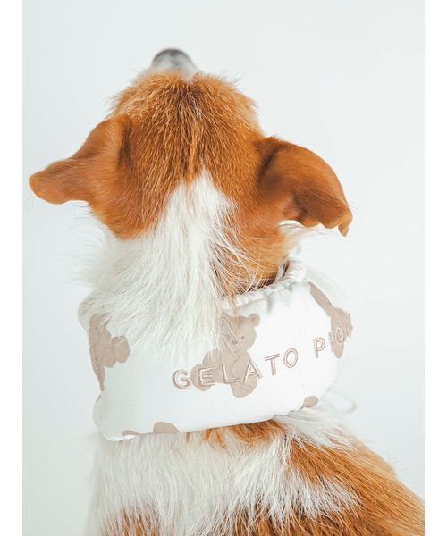 GELATO PIQUE CAT＆DOG(GELATO PIQUE CAT＆DOG)/【CAT&DOG】【販路限定商品】COOLネックカバー/img04