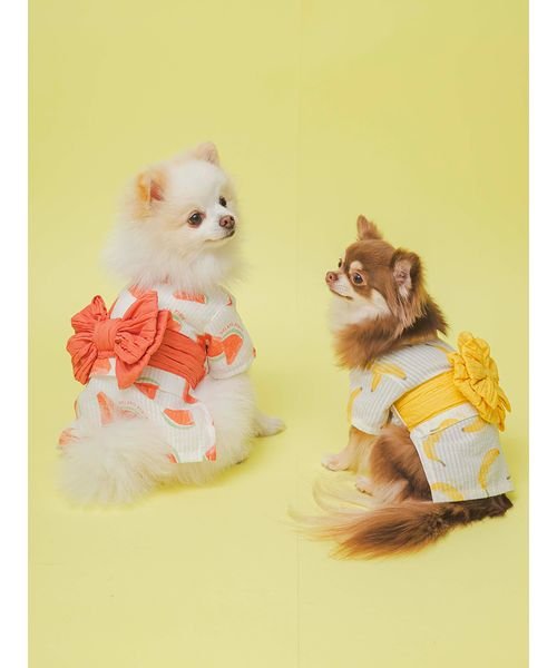 GELATO PIQUE CAT＆DOG(GELATO PIQUE CAT＆DOG)/【CAT&DOG】【販路限定商品】フルーツ柄浴衣/img01