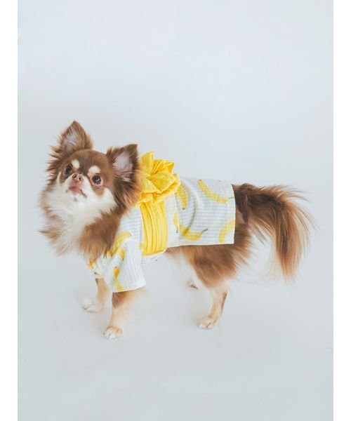 GELATO PIQUE CAT＆DOG(GELATO PIQUE CAT＆DOG)/【CAT&DOG】【販路限定商品】フルーツ柄浴衣/img04