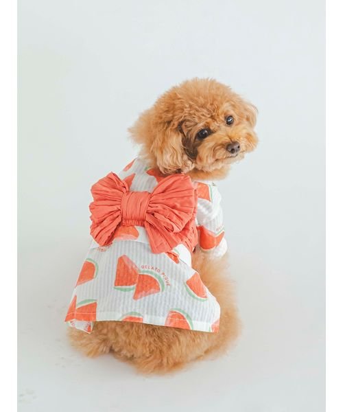 GELATO PIQUE CAT＆DOG(GELATO PIQUE CAT＆DOG)/【CAT&DOG】【販路限定商品】フルーツ柄浴衣/img09