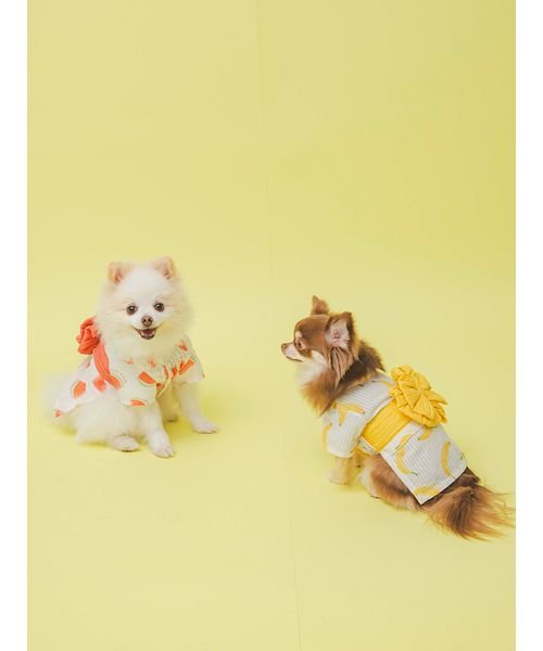 GELATO PIQUE CAT＆DOG(GELATO PIQUE CAT＆DOG)/【CAT&DOG】【販路限定商品】フルーツ柄浴衣/img11