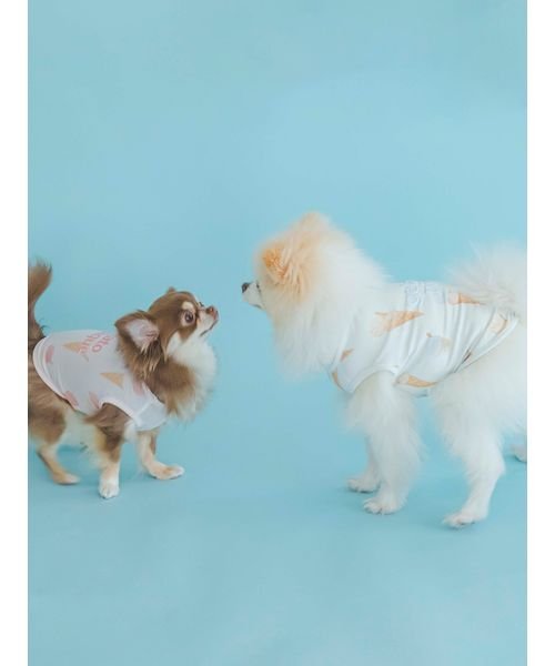 GELATO PIQUE CAT＆DOG(GELATO PIQUE CAT＆DOG)/【CAT&DOG】【販路限定商品】アイス柄COOLプルオーバー/img10