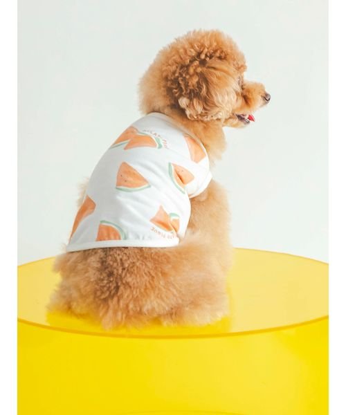 GELATO PIQUE CAT＆DOG(GELATO PIQUE CAT＆DOG)/【CAT&DOG】【販路限定商品】フルーツ柄COOLプルオーバー/img02