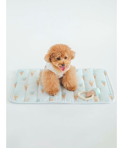 GELATO PIQUE CAT＆DOG(GELATO PIQUE CAT＆DOG)/【CAT&DOG】【販路限定商品】アイス柄COOLマット/img04