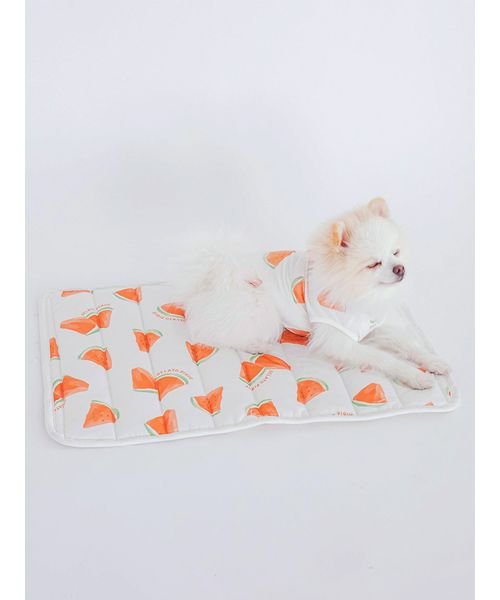 GELATO PIQUE CAT＆DOG(GELATO PIQUE CAT＆DOG)/【CAT&DOG】【販路限定商品】すいか柄COOLマット/img01