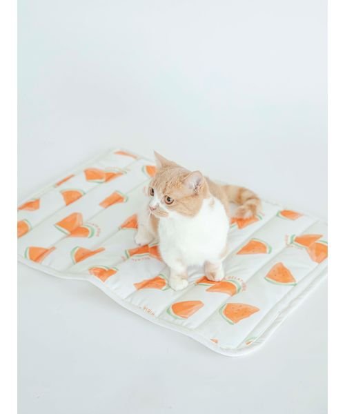 GELATO PIQUE CAT＆DOG(GELATO PIQUE CAT＆DOG)/【CAT&DOG】【販路限定商品】すいか柄COOLマット/img04