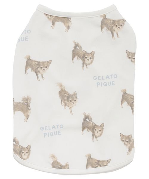 GELATO PIQUE CAT＆DOG(GELATO PIQUE CAT＆DOG)/【CAT&DOG】【販路限定商品】チワワ柄COOLプルオーバー/img09