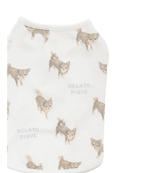 GELATO PIQUE CAT＆DOG(GELATO PIQUE CAT＆DOG)/【CAT&DOG】【販路限定商品】チワワ柄COOLプルオーバー/img11